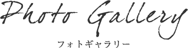 Photo Gallery フォトギャラリー